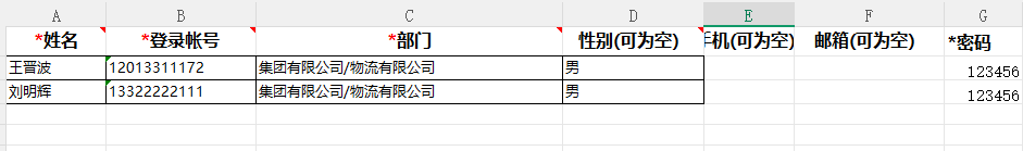 Excel导入模板 - 字段填写示例